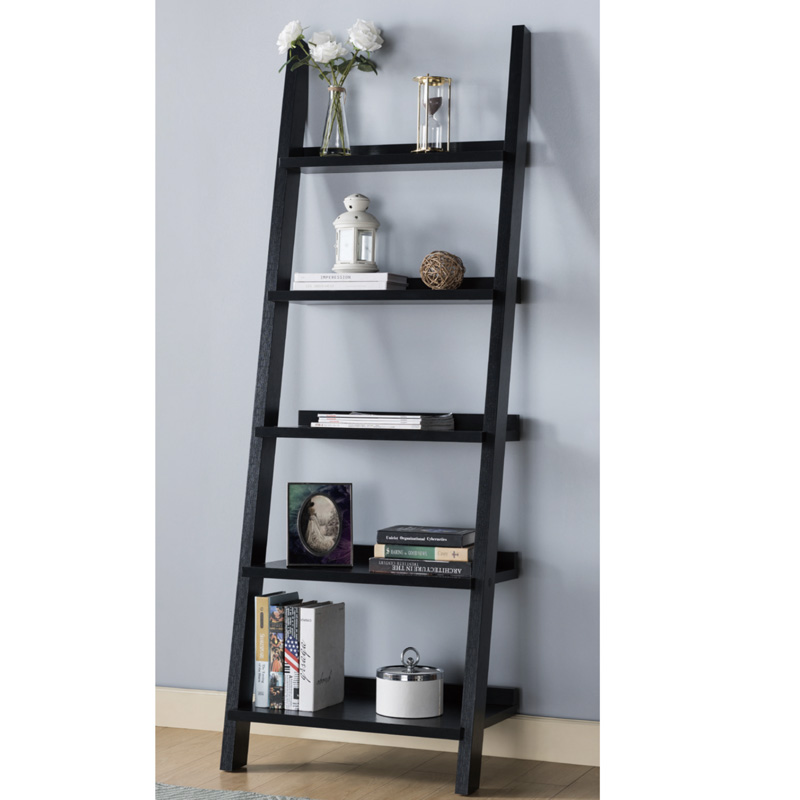 Ladder Bookcase