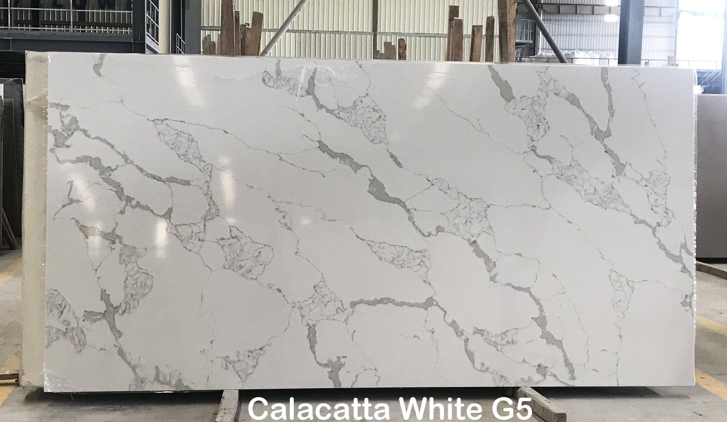 Calacatta White G5