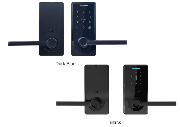 Electronic Entry Lock